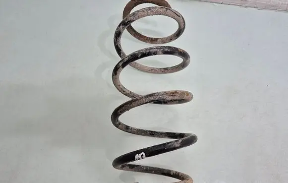 Rear coil spring
