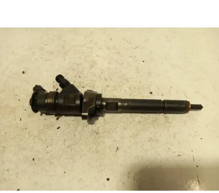 Citroen C4 I Fuel injector 0445110311