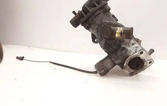 Peugeot Partner Fuel filter 9613344580