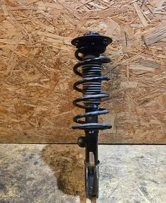 Opel Antara Front shock absorber with coil spring 95147608 SA010B004 13D242811NA