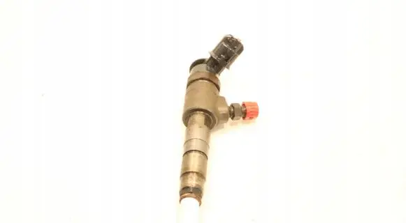 Peugeot Partner Fuel injector 0445110566