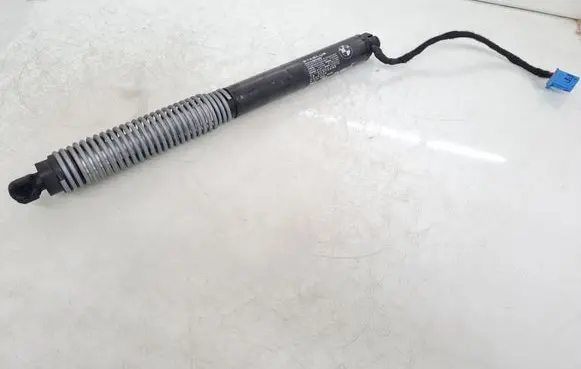 Tailgate/trunk strut/damper
