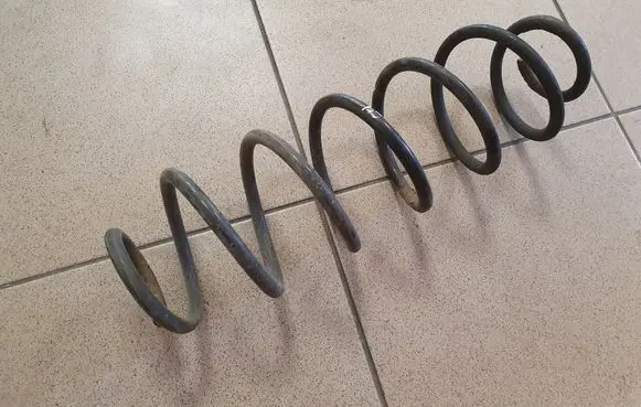 Rear coil spring