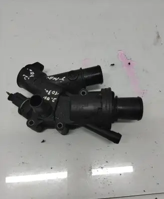 Thermostat/thermostat housing