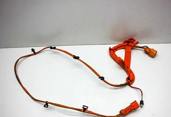 Other wiring loom