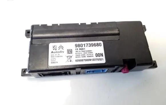 Peugeot 5008 Other control units/modules 9801739680