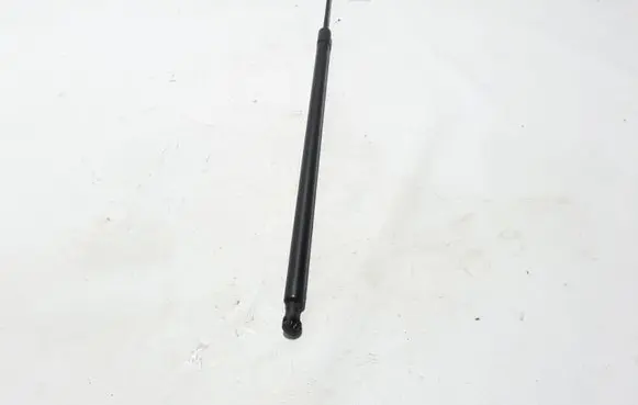 Renault Kangoo II Tailgate strut 8200497806