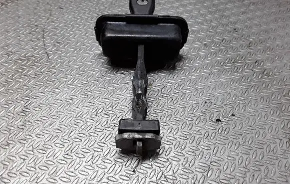 Citroen C3 Aircross Rear door check strap stopper