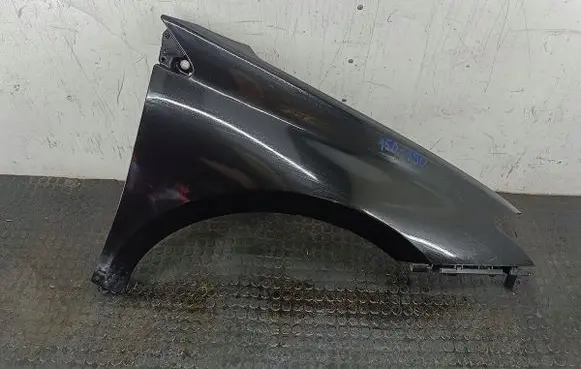 Renault Laguna III Fender NV676