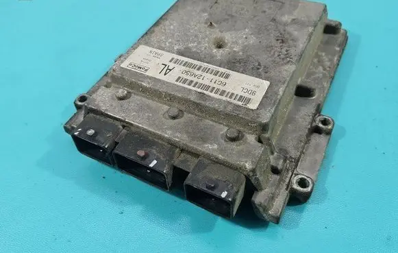Engine control unit/module ECU