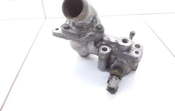 Thermostat/thermostat housing