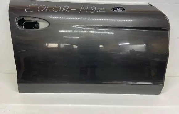 Porsche Panamera (970) Front door 97053152201