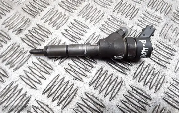 Peugeot 406 Fuel injector 0445110008 9635196580