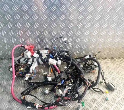 Tesla Model 3 Other wiring loom 109209700C 106795500E