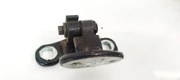 Volvo S40 Rear door lower hinge