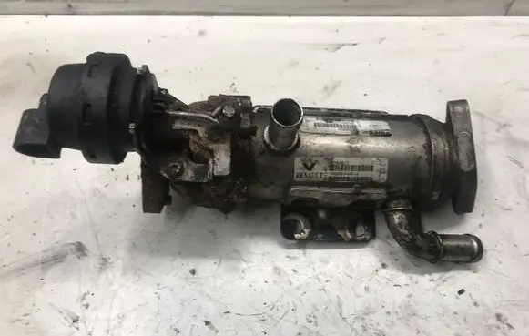 Renault Laguna III EGR valve cooler H8200340616 876481V