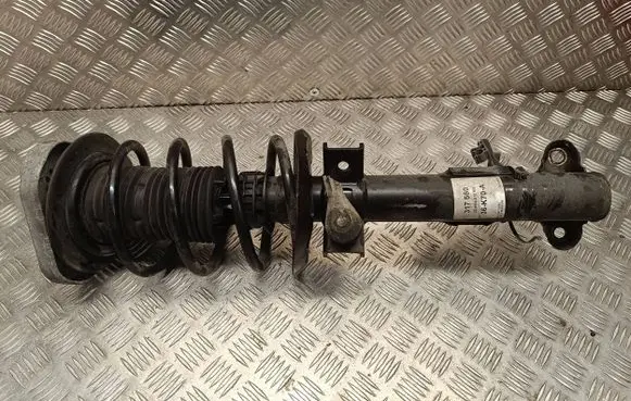 Front shock absorber with coil spring