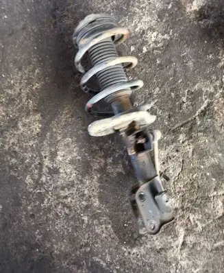 Nissan Leaf I (ZE0) Front shock absorber with coil spring