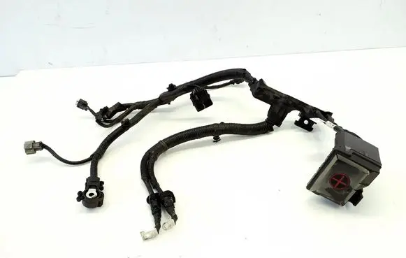 KIA Ceed Positive wiring loom 91855J7251 91971F2100