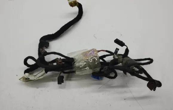 Bentley Flying Spur Rear door wiring loom 3W5974951B