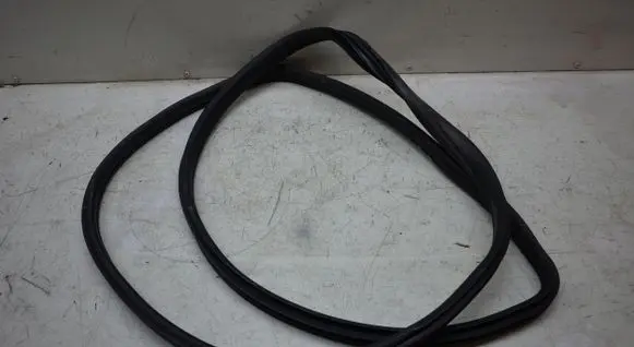 BMW X5M E70 Rear door rubber seal (on body) 7234931