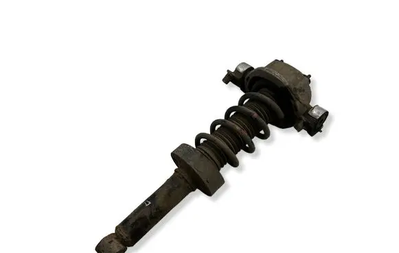 Volkswagen Touareg II Rear shock absorber with coil spring 