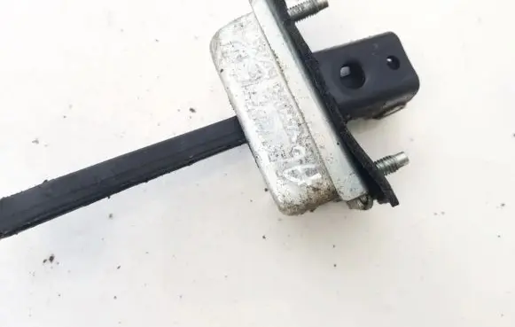 Ford C-MAX I Rear door check strap stopper