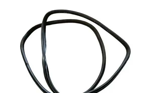 BMW X5 E70 Rubber seal rear door 