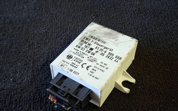 BMW 5 E39 Immobilizer control unit/module 61356905668 05393244 110187