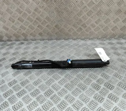 BMW X3 G01 Tailgate/trunk strut/damper 7397322
