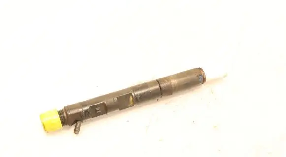 Renault Clio III Fuel injector