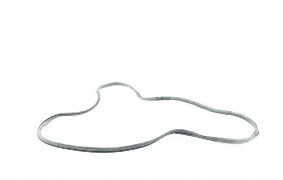 Fiat Ducato Sliding door rubber seal 5887593