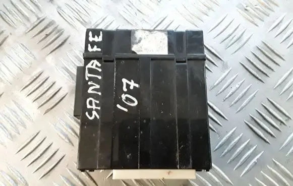 Hyundai Santa Fe Other control units/modules OKA500R