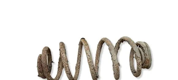 Fiat Doblo Rear coil spring 