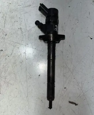 Citroen Berlingo Fuel injector 089909