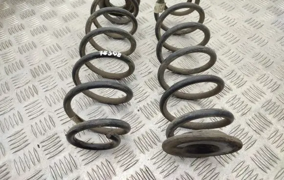 Rear coil spring