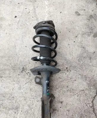 Nissan Qashqai Front shock absorber with coil spring 82493006383 54302