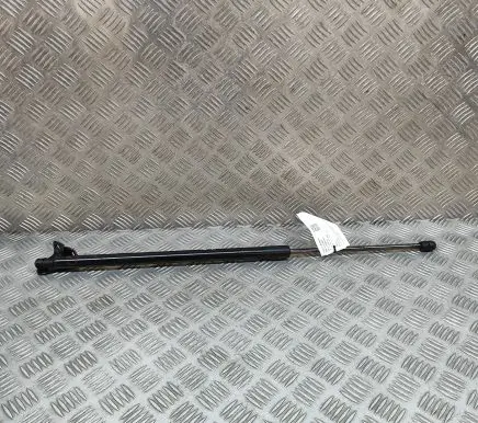 Ford Mustang Mach-E Tailgate/trunk strut/damper LJ8BR406A11AE