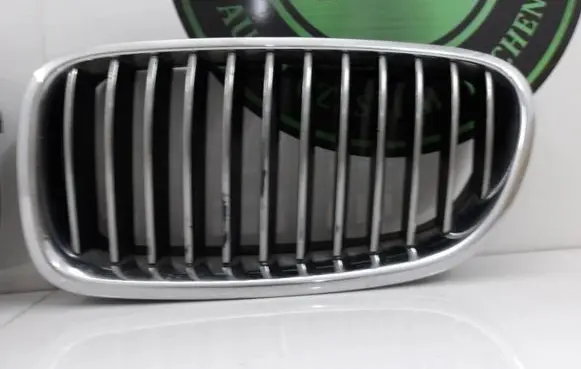 BMW 5 F10 F11 Front bumper upper radiator grill 51137203650