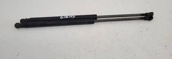 Tailgate/trunk strut/damper