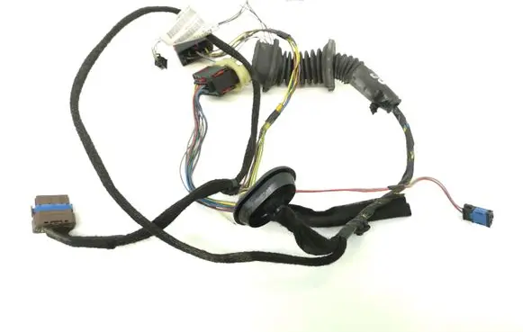 Front door wiring loom