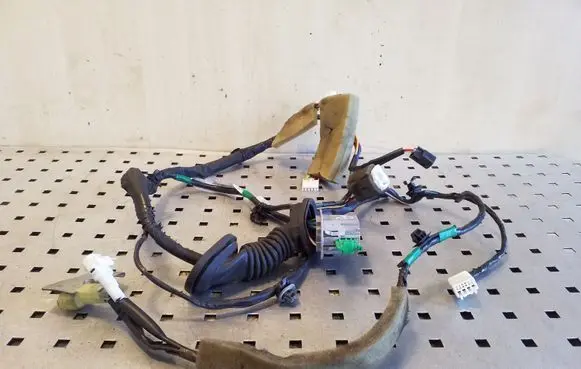 Front door wiring loom