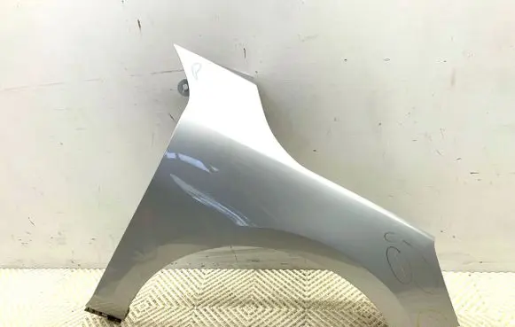 Ford Focus Fender