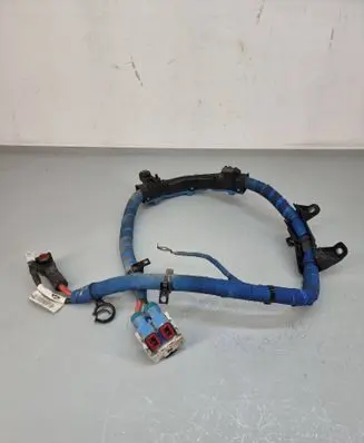 Land Rover Range Rover Sport L461 Other wiring loom M8e214n166af