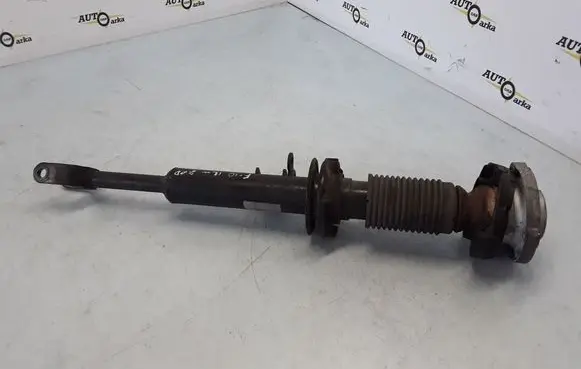 BMW 5 F10 F11 Front shock absorber/damper 31316789363