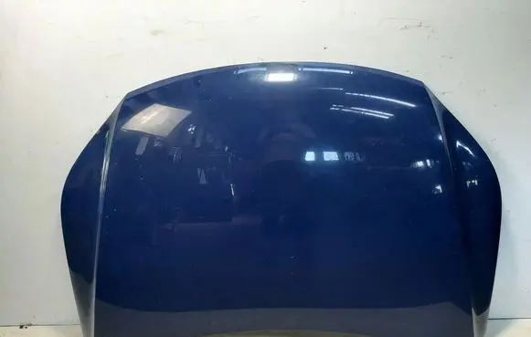 Volkswagen Tiguan Engine bonnet/hood 