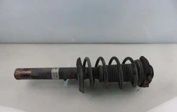 Volkswagen Golf V Front shock absorber with coil spring 22131607