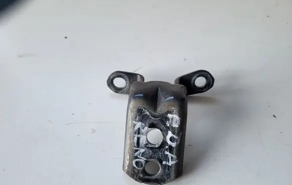 Renault Kadjar Front door lower hinge 