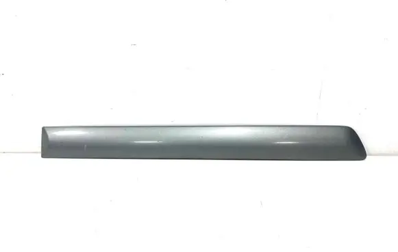 Rear door trim (molding)
