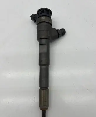 Renault Kangoo II Fuel injector 0445110485
